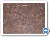 CIMG3139